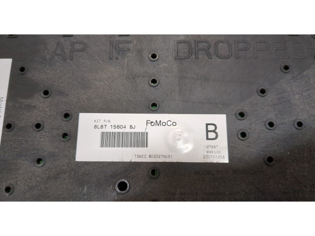 Блок предохранителей  Ford Escape 2007-2012      8L8T15604BJ   