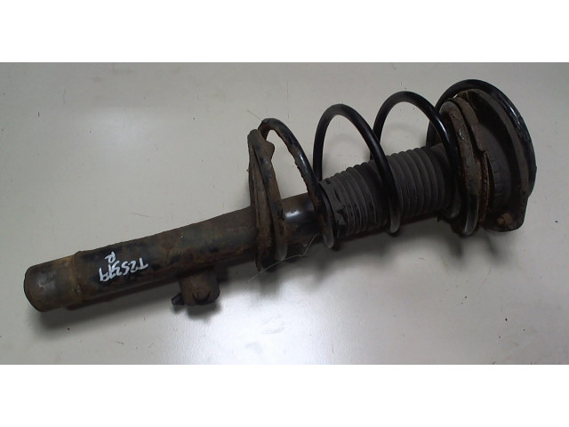 Стойка амортизатора  Peugeot 206 5202LW, 1674697980   1.1  бензин
