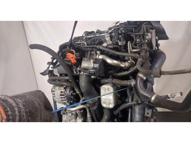 Клапанная крышка двигателя ДВС  Volkswagen Golf 6 2009-2012 1.6     
