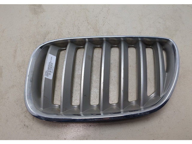 Решетка радиатора  BMW X5 E53 2000-2007          51137113733, 7113733