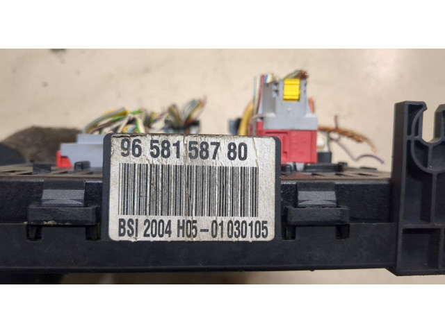 Блок BSI  Citroen C4 2004-2010      9658158780   