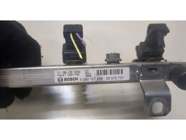 Форсунка топливная  Opel Meriva 2010-    817027, 55572731, 5817425, 24420543     
