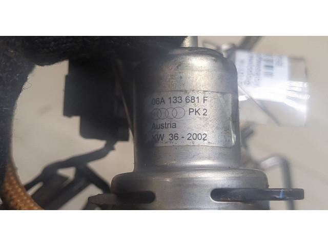Форсунка топливная  Volkswagen Sharan 2000-2010    06A133681F, 022906031J     