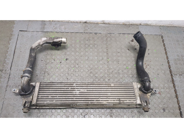 Интеркулер  Nissan Qashqai 2006-2013 2.0  14461JD50A    