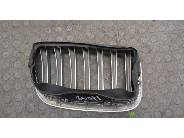 Решетка радиатора  BMW X6 E71 2007-2014          51137171395