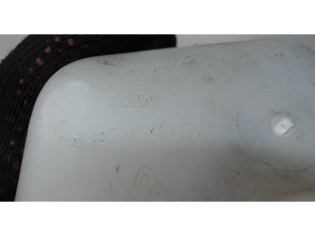 Бачок расширительный  KIA Carnival 2006-2014 254304D700    3.8