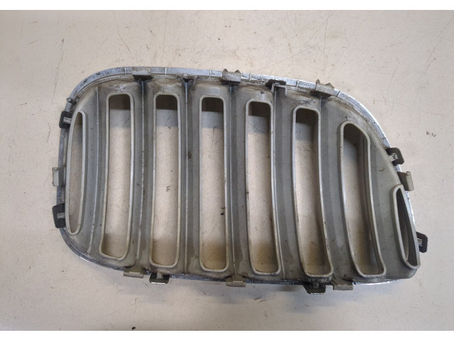 Решетка радиатора  BMW X5 E53 2000-2007          51137113733, 7113733