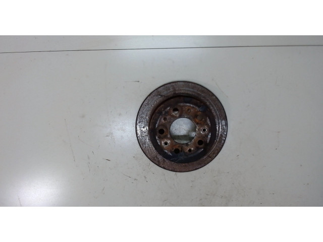Диск тормозной  Citroen Jumper (Relay) 2006-2014 2.2  задний     424931      