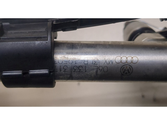 Форсунка топливная  Volkswagen Tiguan 2016-2020    06G906036AH, 06L133317L     