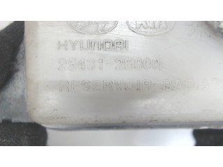 Бачок расширительный Hyundai Tucson 1 2004-2009  254312E000   