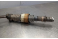 Руль Mercedes-Benz CLK A209 C209  2002 - 2009 года A2094601516      
