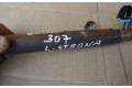 Přístrojová deska  Peugeot 307 2007 9653166180, 1003206  