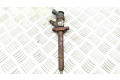 Vstřikovač 0445110311   Citroen C3  pro benzínový motor 1.1  