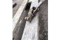  рейка  Колонка рулевая 07355358740, 29512   Citroen Jumper 2007 - 2013 года