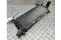 Интеркулер  14461EB360   Nissan NP300 