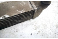 Интеркулер  144960001R, H9493003   Renault Laguna III 