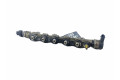 Топливная рампа 8200942721, H8200610223   Renault Koleos I 2.0 