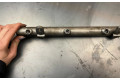 Топливная рампа A6420700695, 0535500446   Mercedes-Benz R W251  