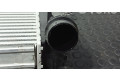 Интеркулер  144614ED1A, M166253A   Renault Kadjar 
