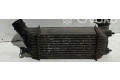 Интеркулер     Fiat Scudo 