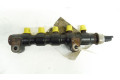 Форсунка 806010108, 806010108    Mini One - Cooper Clubman R55  DV6TED4(9HZ) 