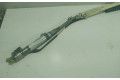 Подушка безопасности двери A2198600005, 6023718007   Mercedes-Benz CLS AMG C219