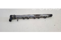Vstřikovací lišta 0445214278, 001168L2   BMW 1 F20 F21     
