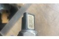 Топливная рампа 9681649580, 0817004712   Ford Kuga I 2.0 