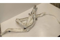 Боковая подушка безопасности 85727343608, 17B181105194   BMW 6 F06 Gran coupe