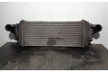 Интеркулер  A1645001900, N3292001BEHR   Mercedes-Benz R AMG W251 