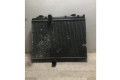 Комплект радиатора     1330W2, 1330W2    Peugeot Partner 