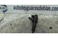 Форсунка 0445110075, INYECTOR    Peugeot 206+ для бензинового двигателя  
