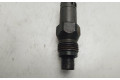 Форсунка LCR6735201D    Peugeot Expert   
