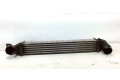 Интеркулер  1751850690401   Mini Cooper Countryman R60 