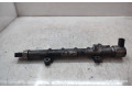 Vstřikovací lišta A6510700495   Mercedes-Benz C W204    651.913 