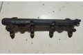 Топливная рампа 036971824A   Seat Ibiza III (6L)  