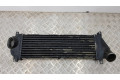 Интеркулер  1035048, 02022501   Mercedes-Benz ML W163 