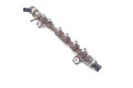 Vstřikovací lišta 16610-RL0-G01, 0281002966   Honda CR-V    N22B3 