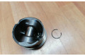 Píst 306DT, AJTDV6   Land Rover Range Rover Sport L320    306DT 