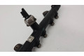 Топливная рампа 9674300080, 16265005   Ford Kuga II 2.0 