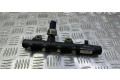 Vstřikovací lišta 175210651R, 160040145   Renault Megane III     