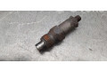Форсунка lcr6733401d    Peugeot Expert   