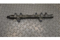 Vstřikovací lišta 494092, 0445214217   Fiat Punto (199)    199 B4.000 