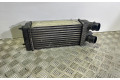 Интеркулер  1498987080   Fiat Scudo 