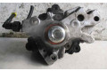 Vstřikovací čerpadlo 28231666, DELPHI   Hyundai i20 (PB PBT)    D4FC 