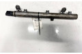Vstřikovací lišta A6420700695, A6420700695   Mercedes-Benz R W251     
