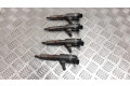 Комплект форсунок 0445110489, CV6Q9F593AA    Ford Focus для дизельного двигателя  1.5