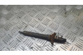 Vstřikovač EJBR06001D, 9688438580   Citroen C4 I  pro naftový motor 2.0  