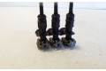 Комплект форсунок 166007686R    Dacia Sandero II   