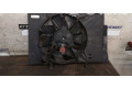 Комплект вентиляторов     C1B18C607AG, C1B18C607AG    Ford B-MAX 